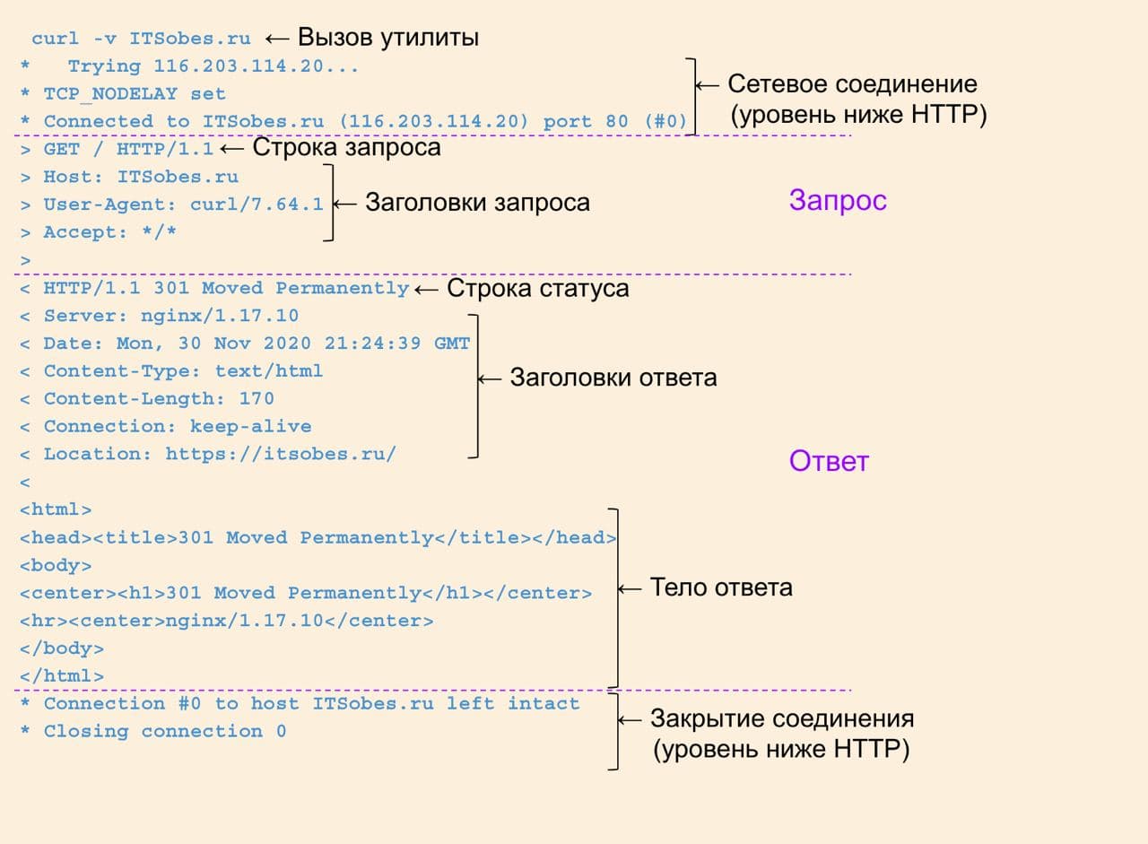 Из чего состоит HTTP-запрос?